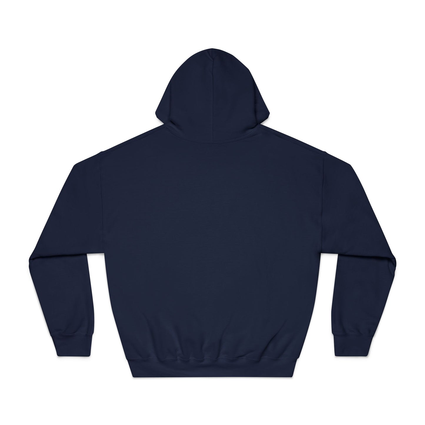 Ohio Pride Hooded Sweatshirt, Motivational Hoodie, Gift for Ohioans, Urban Style Sweatshirt, Streetwear Apparel