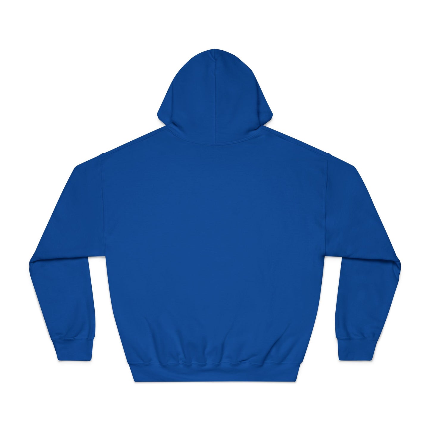 Ohio Pride Hooded Sweatshirt, Motivational Hoodie, Gift for Ohioans, Urban Style Sweatshirt, Streetwear Apparel