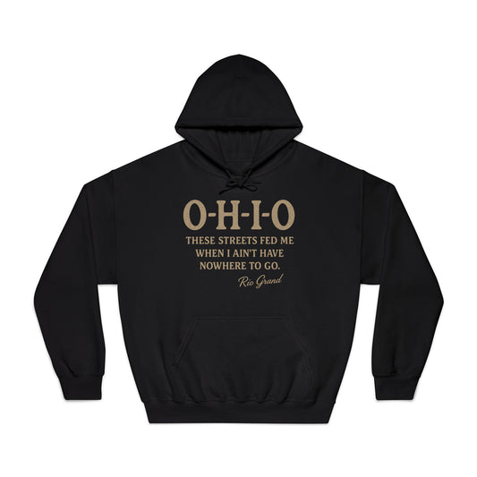 Ohio Pride Hooded Sweatshirt, Motivational Hoodie, Gift for Ohioans, Urban Style Sweatshirt, Streetwear Apparel